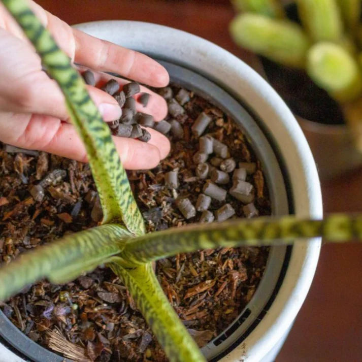 We The Wild - Support Organic Slow Release Plant Food