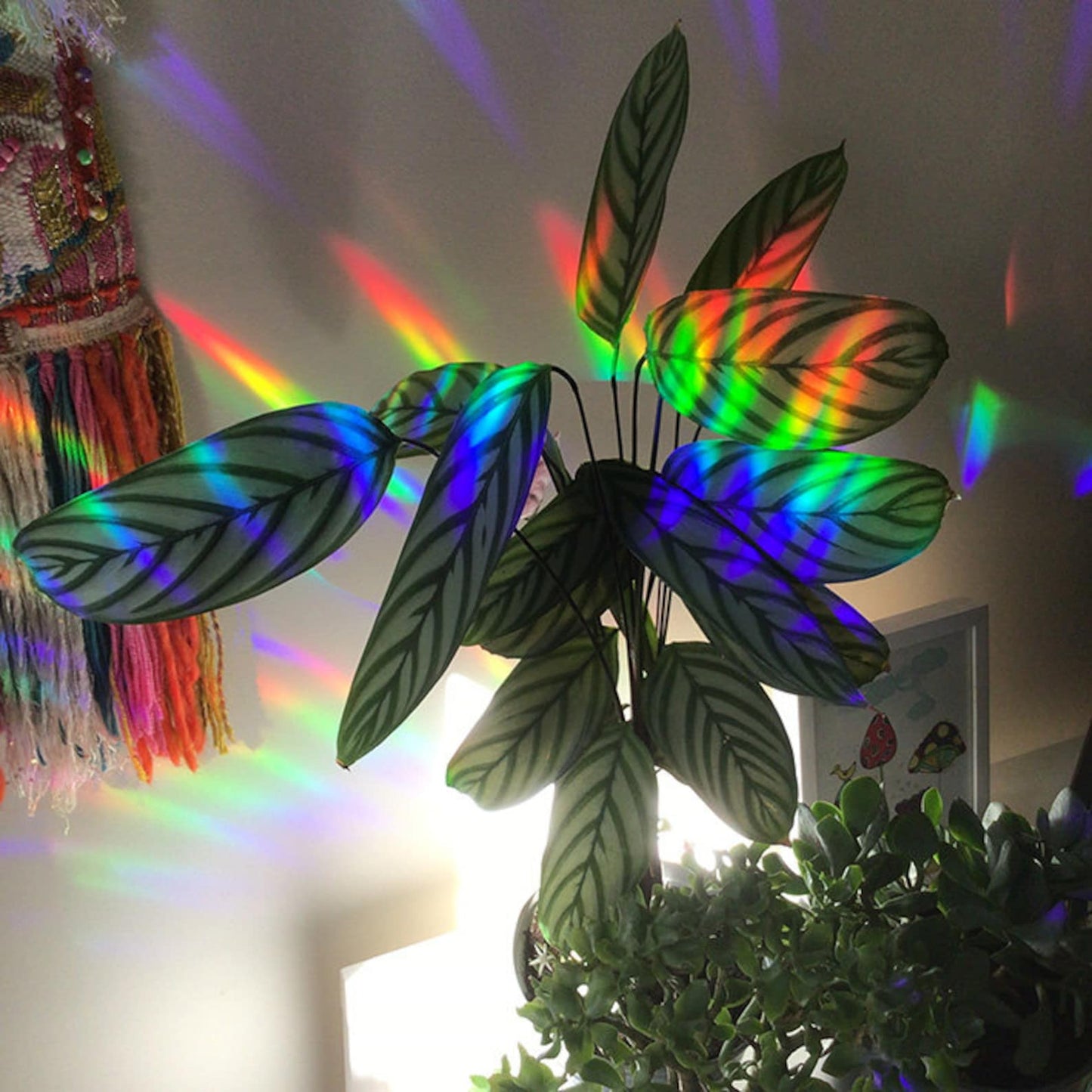 Missy Minzy Suncatchers