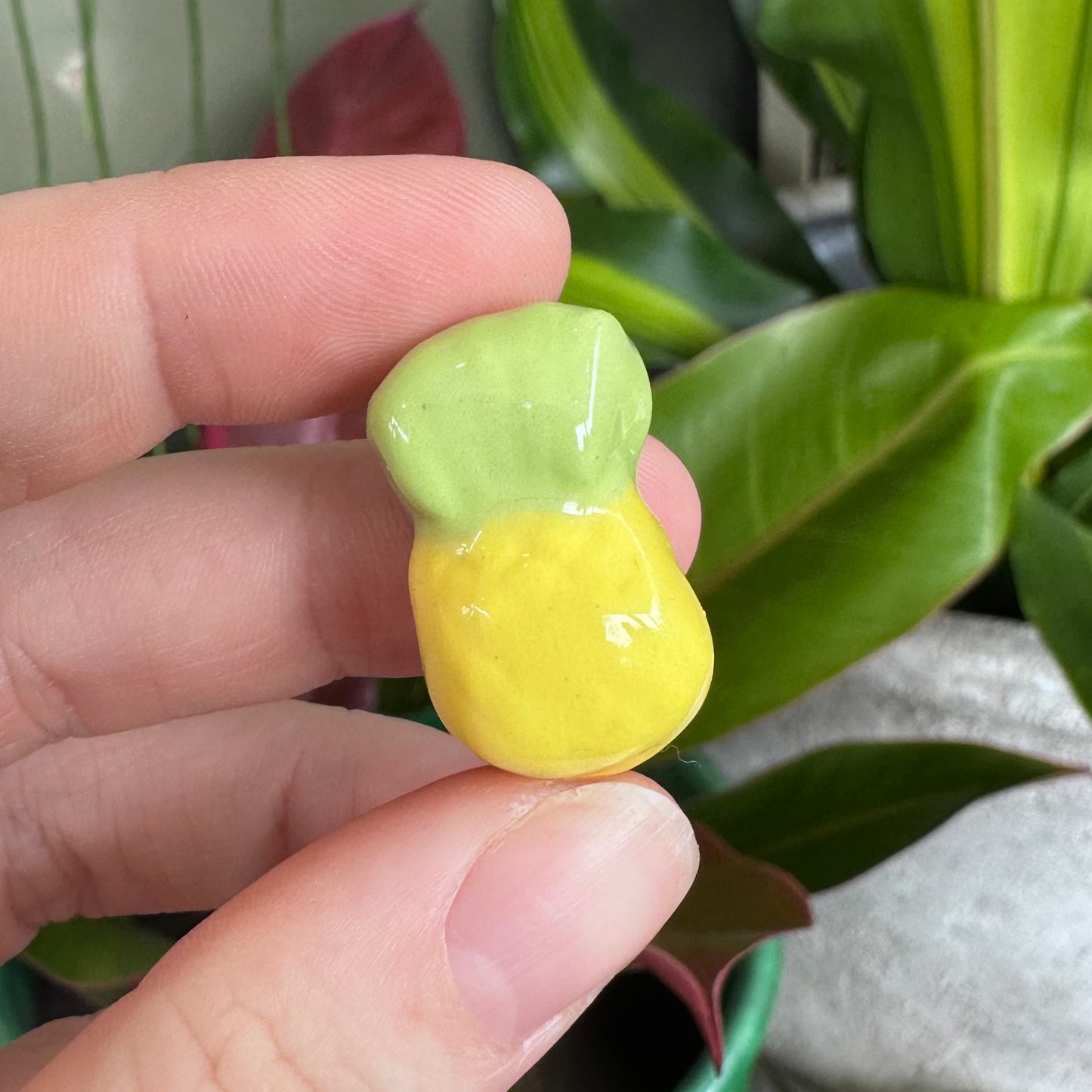 Australian Lolly Magnets