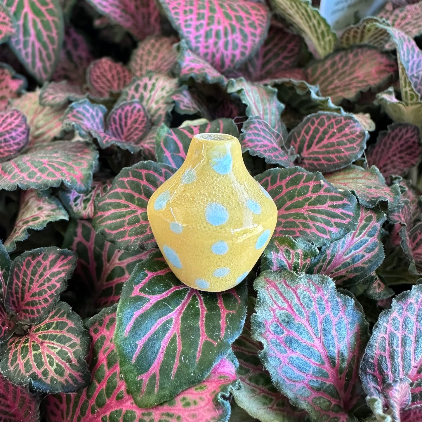 Ruth Elliot Super Mini Vases