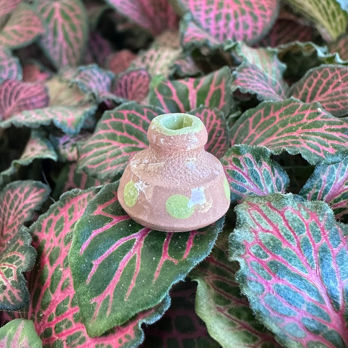 Ruth Elliot Super Mini Vases