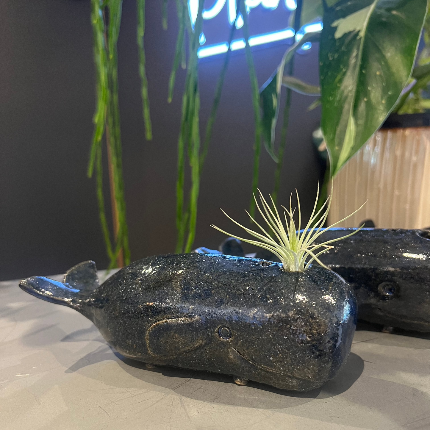 Handmade Whale Vase