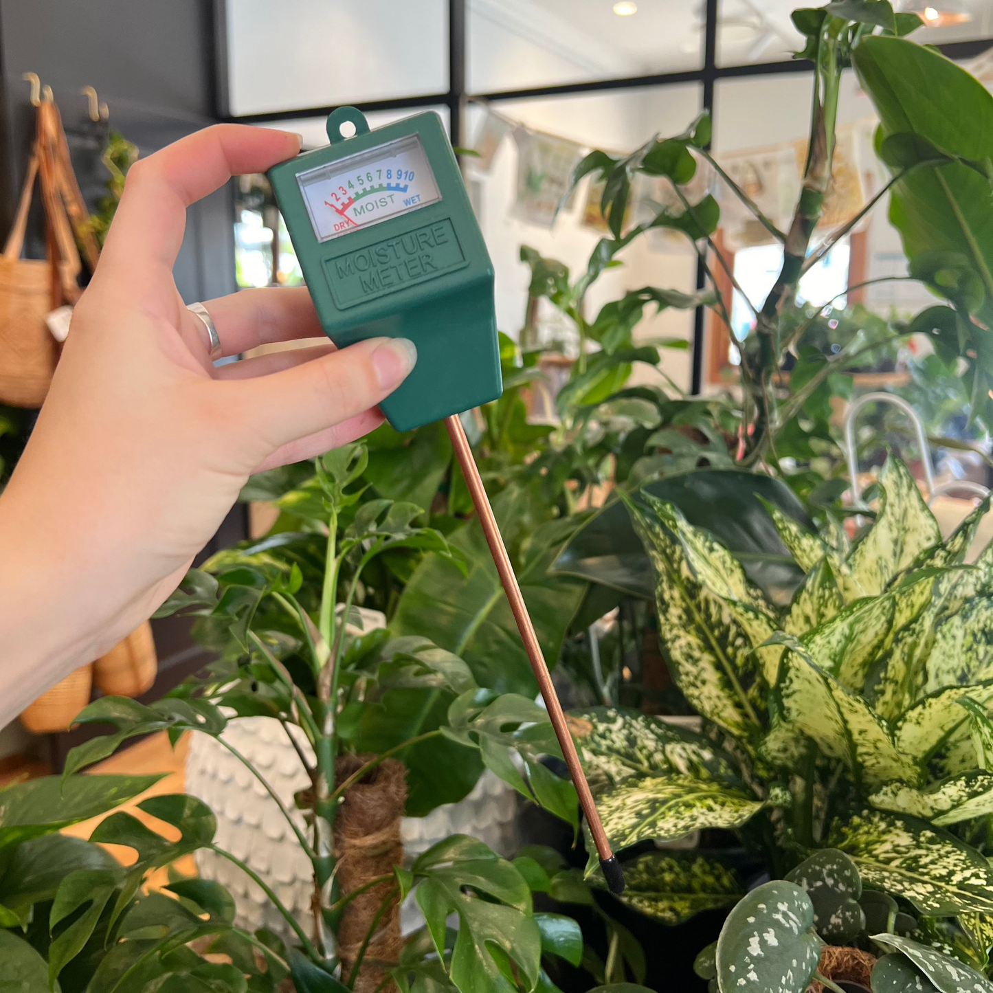 Plant Moisture Meter