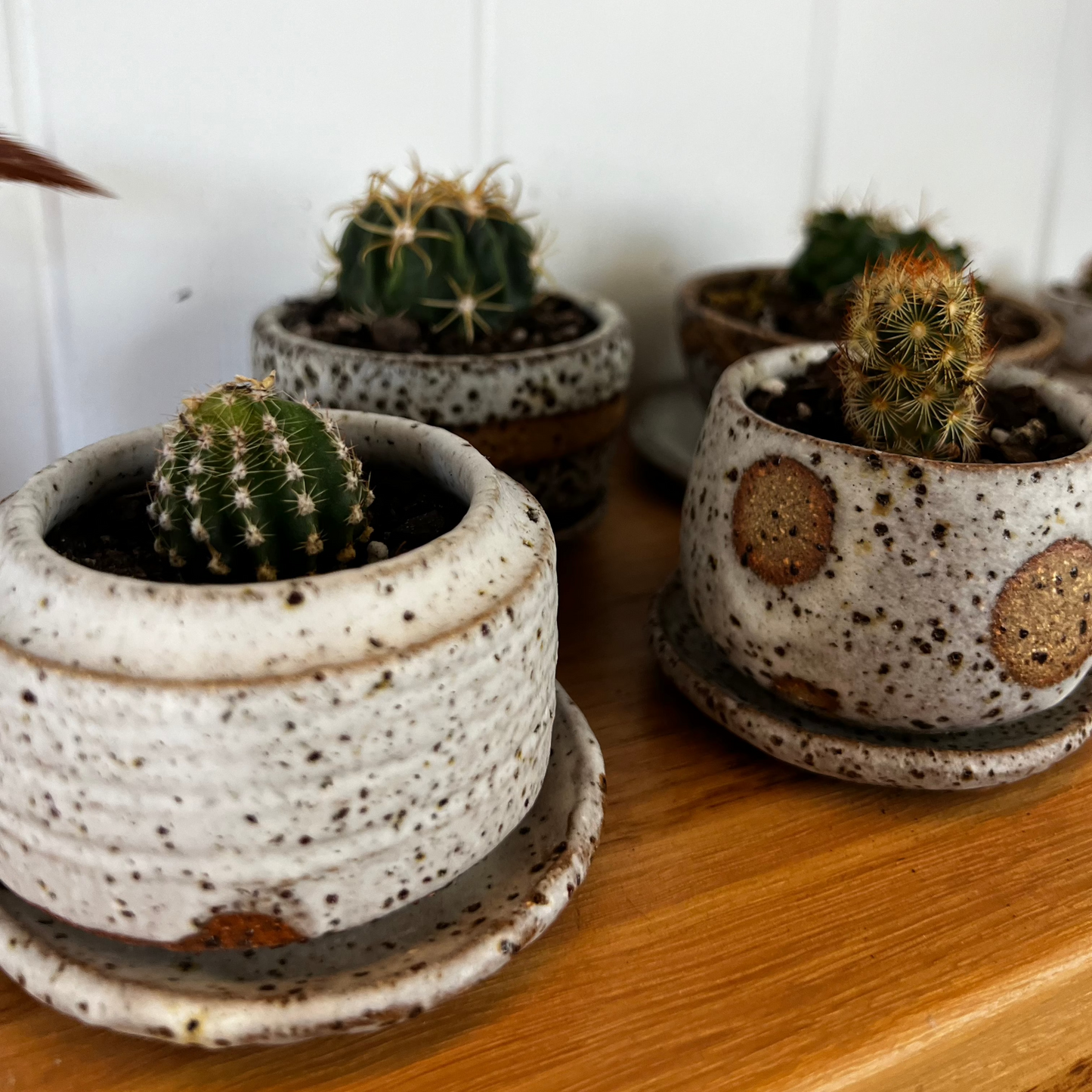 Ruth Elliot Medium Pot with Saucer