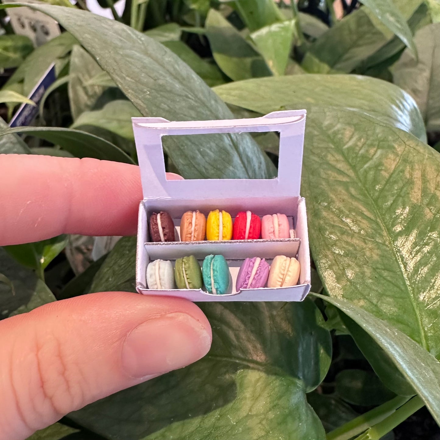 Miniature Macaron Set