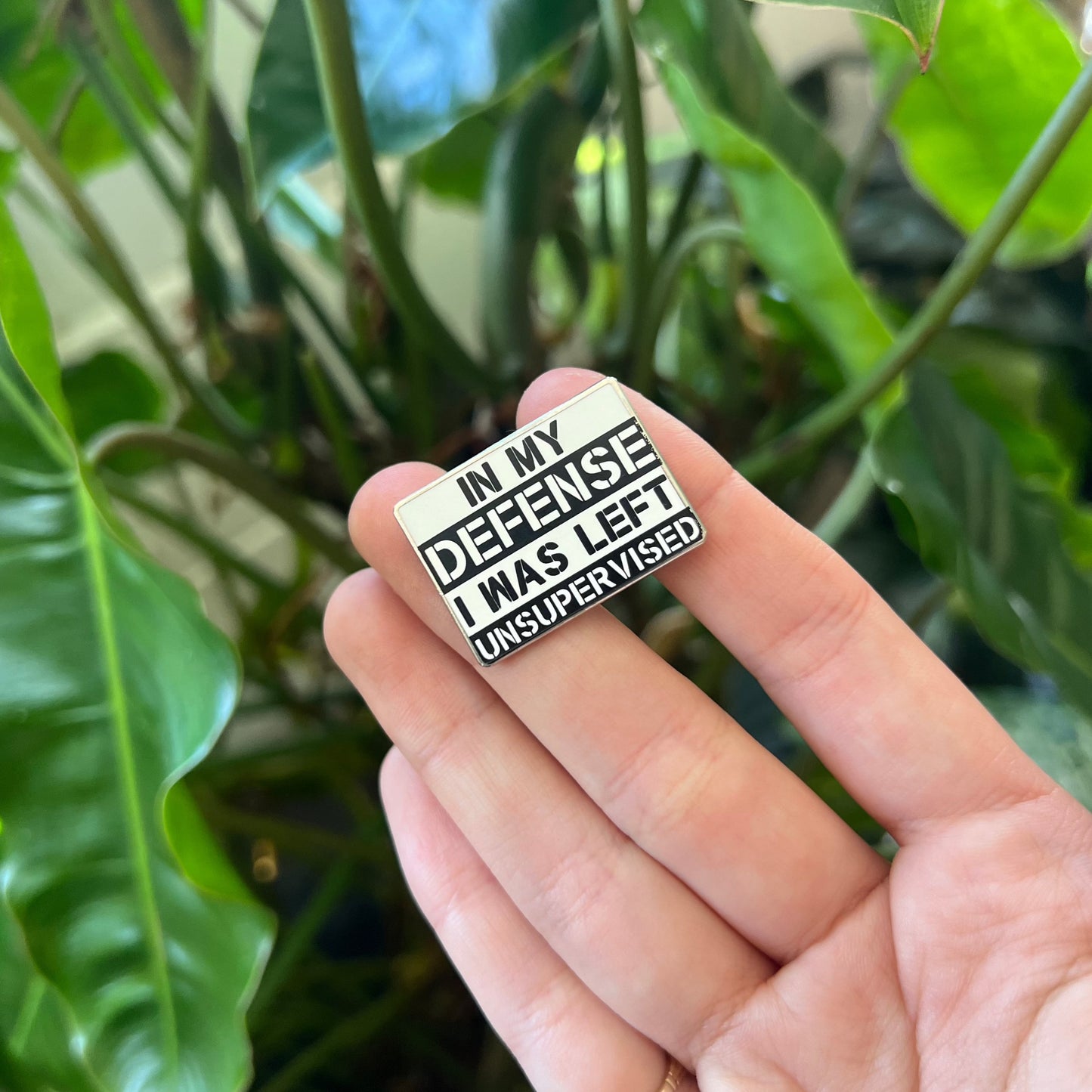 Pin - In My Defence I Was Left Unsupervised