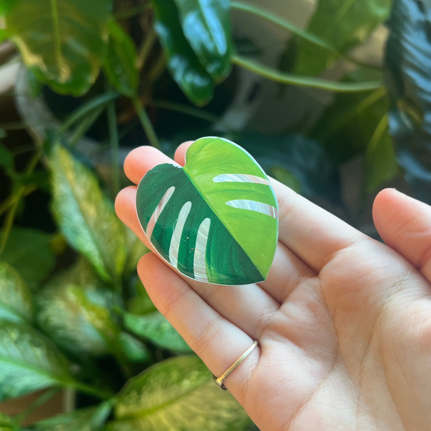 Pop Sockets