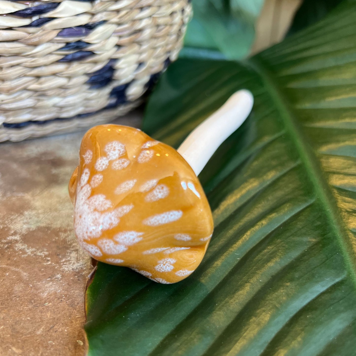 Mini Mushroom Stakes