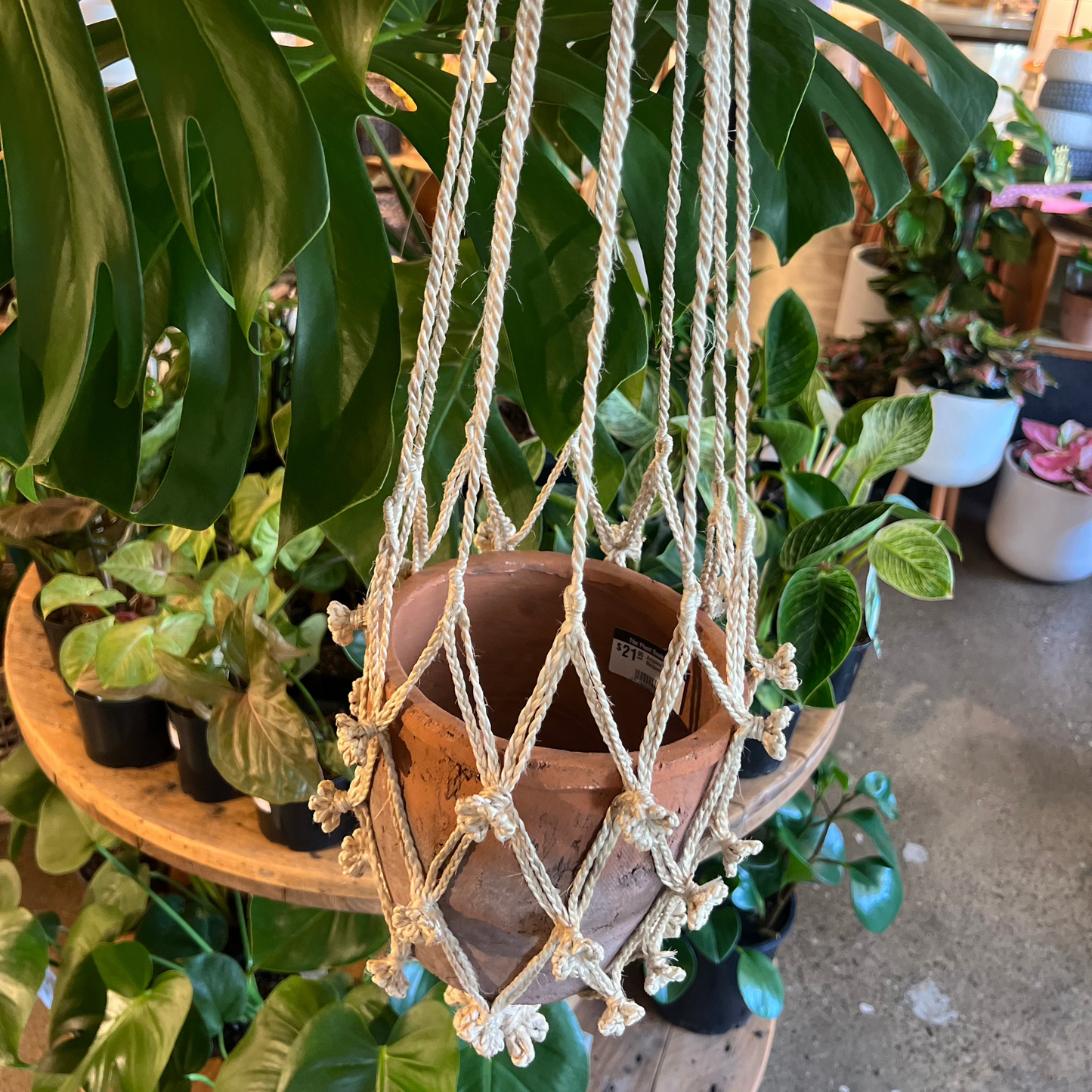 Macrame Hanger
