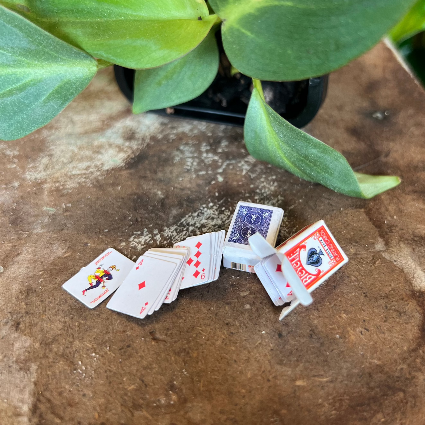 Mini Cards Set