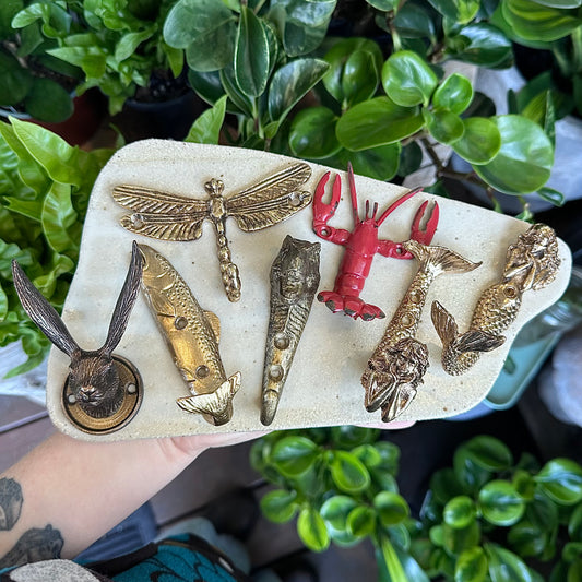 Novelty Wall Hooks