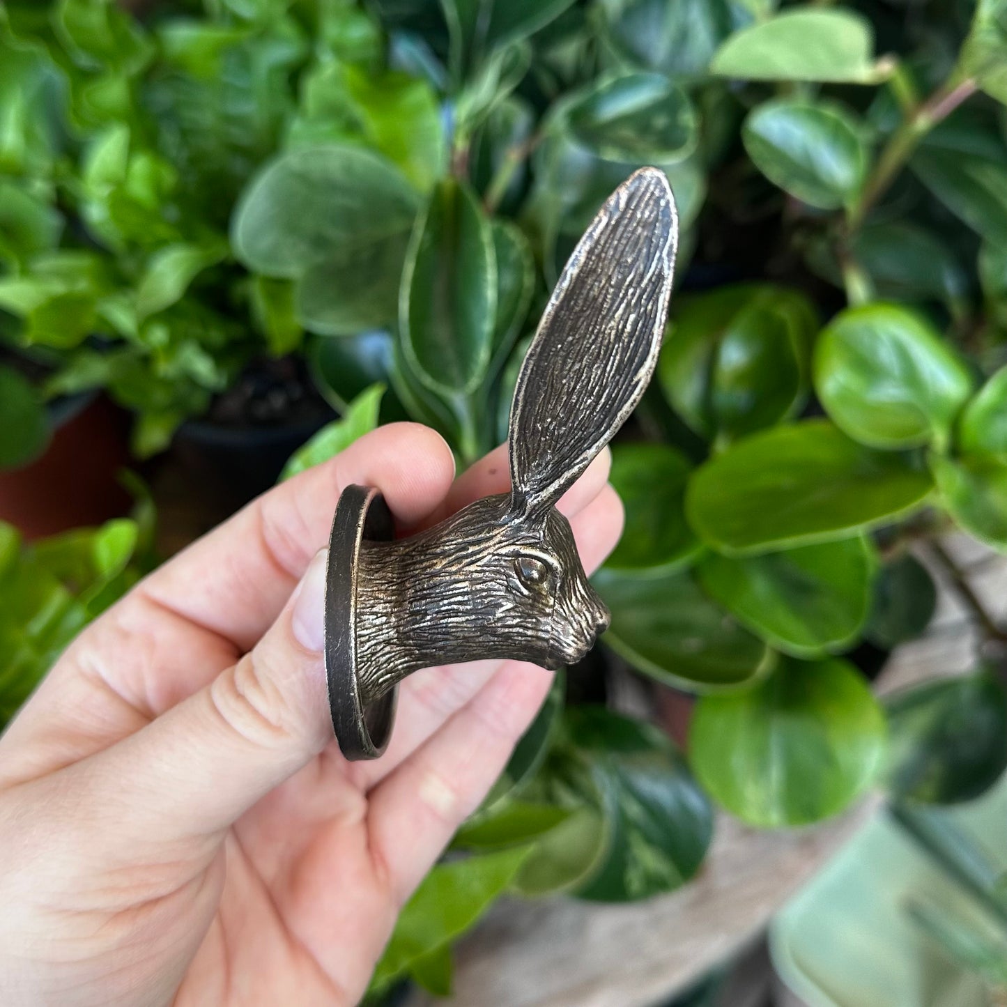 Novelty Wall Hooks
