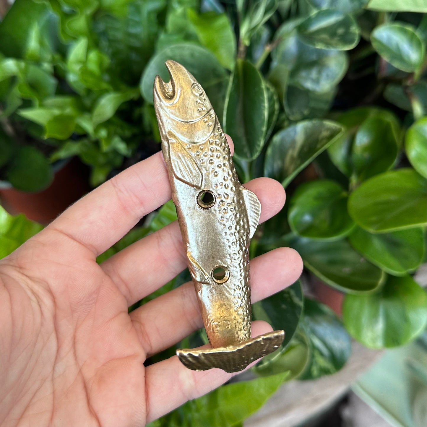 Novelty Wall Hooks