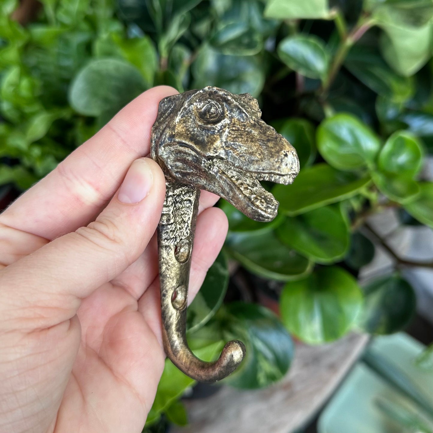 Novelty Wall Hooks