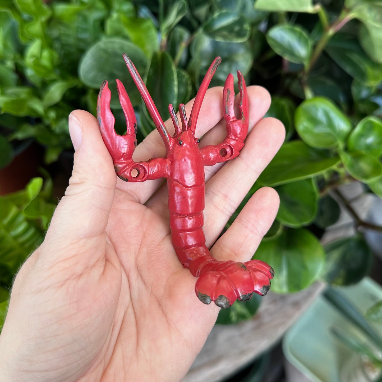Novelty Wall Hooks
