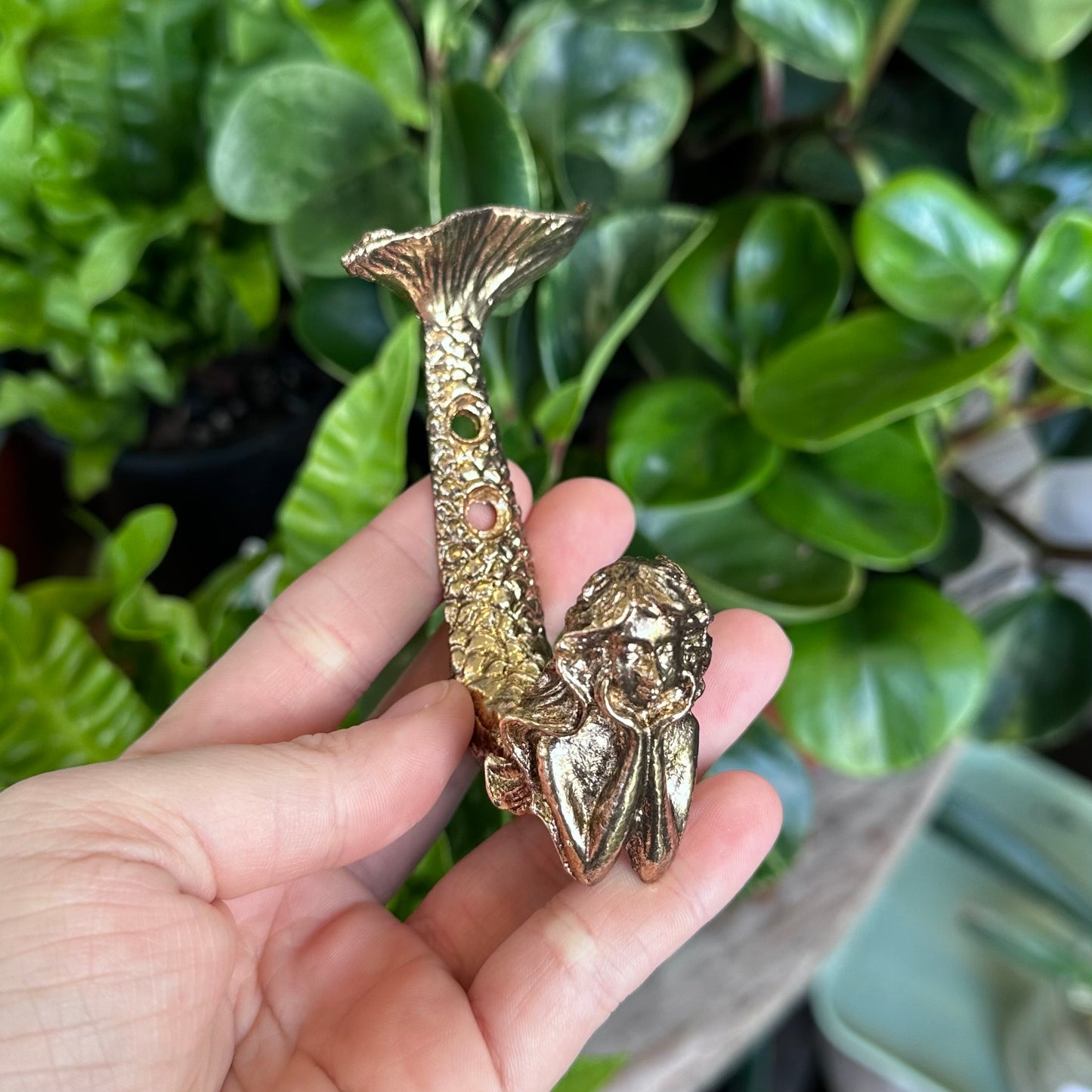 Novelty Wall Hooks