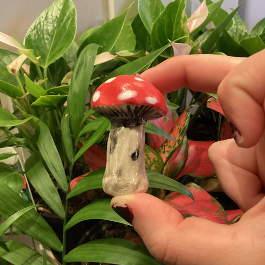 Mim Brown Mini Mushroom