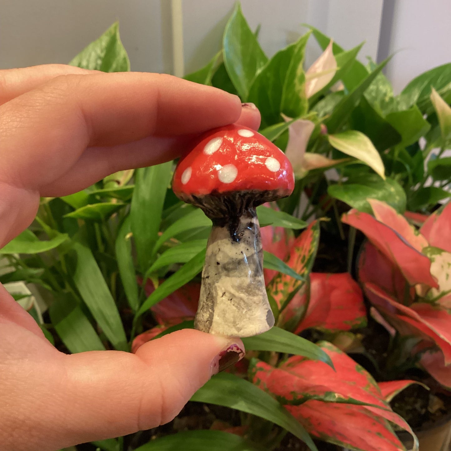 Mim Brown Mini Mushroom