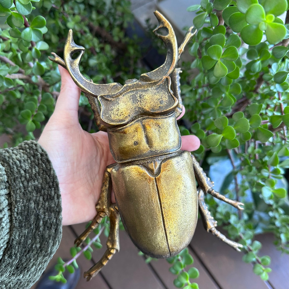 Gold Beetle Wall Art