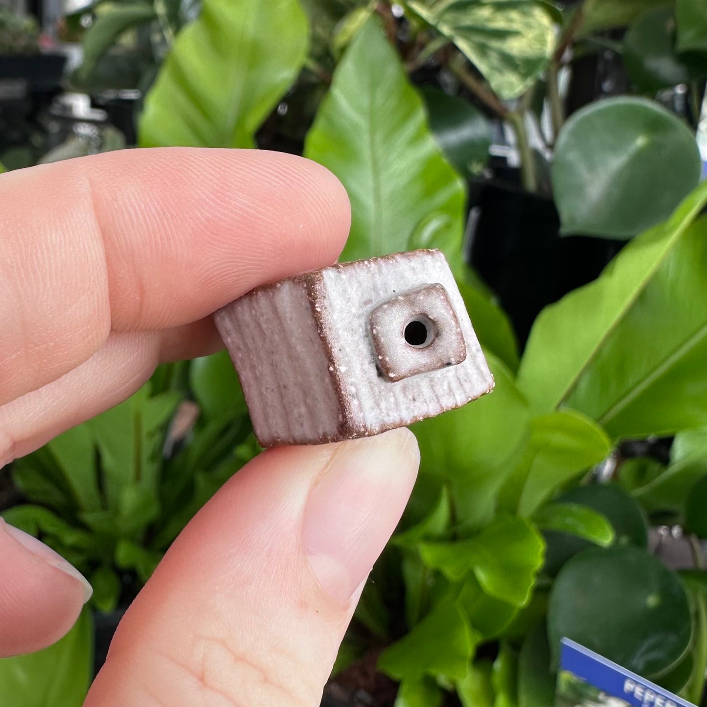 Mini House Bud Vase by Ruth Elliot