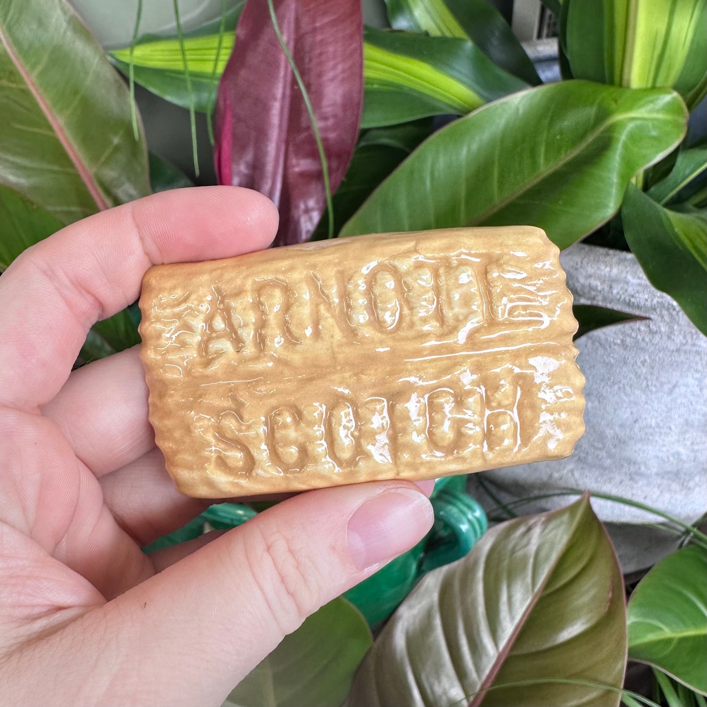 Australian Biscuit Magnets