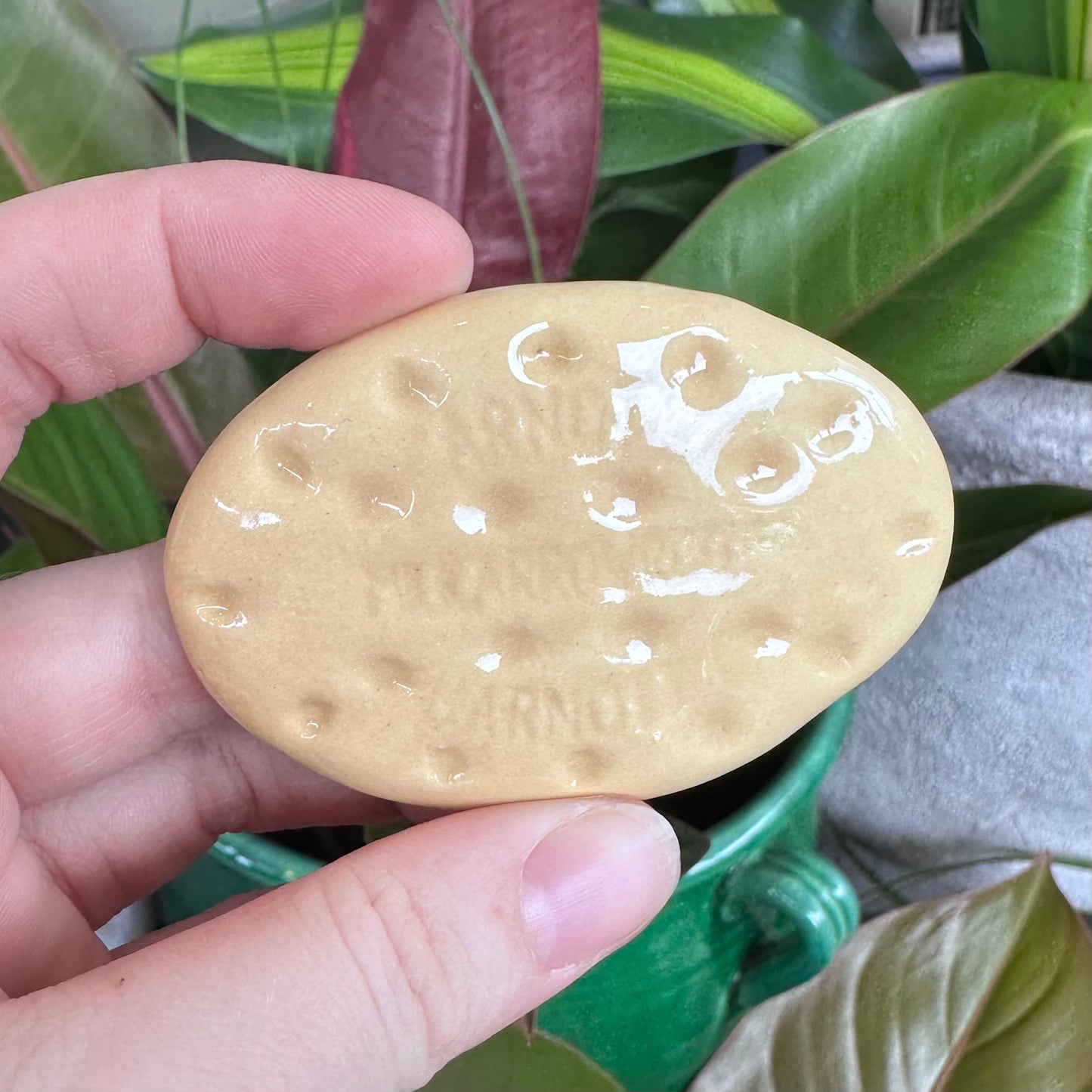 Australian Biscuit Magnets