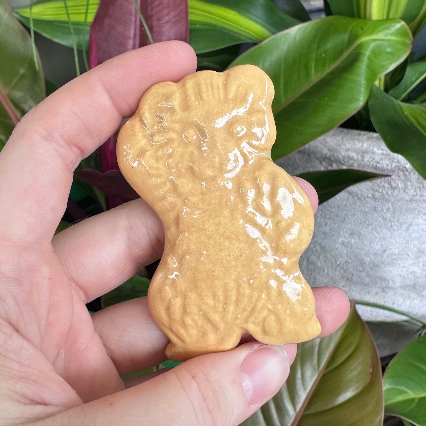 Australian Biscuit Magnets