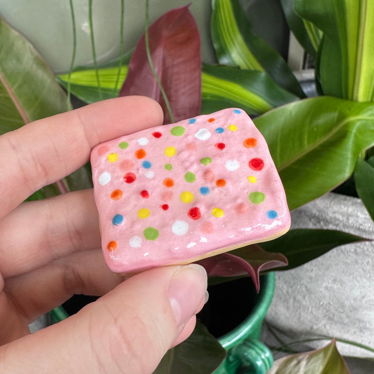 Australian Biscuit Magnets