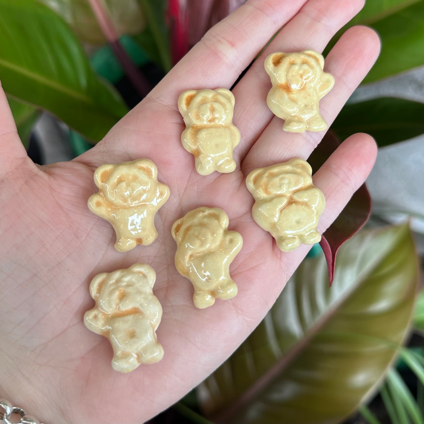 Tiny Teddy Magnets