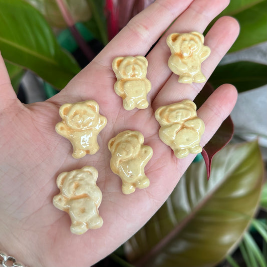 Tiny Teddy Magnets