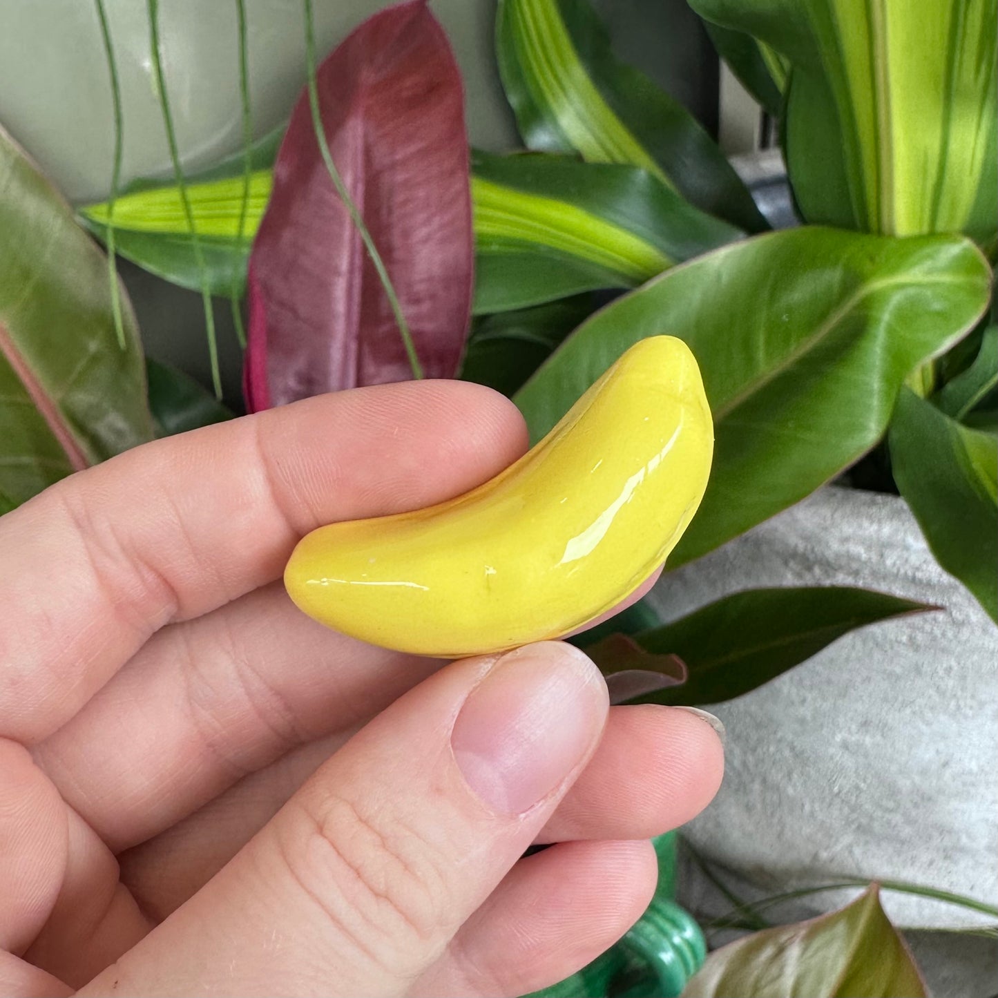 Australian Lolly Magnets