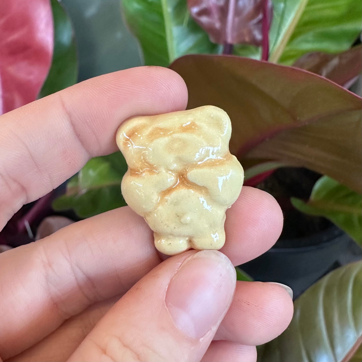 Tiny Teddy Magnets