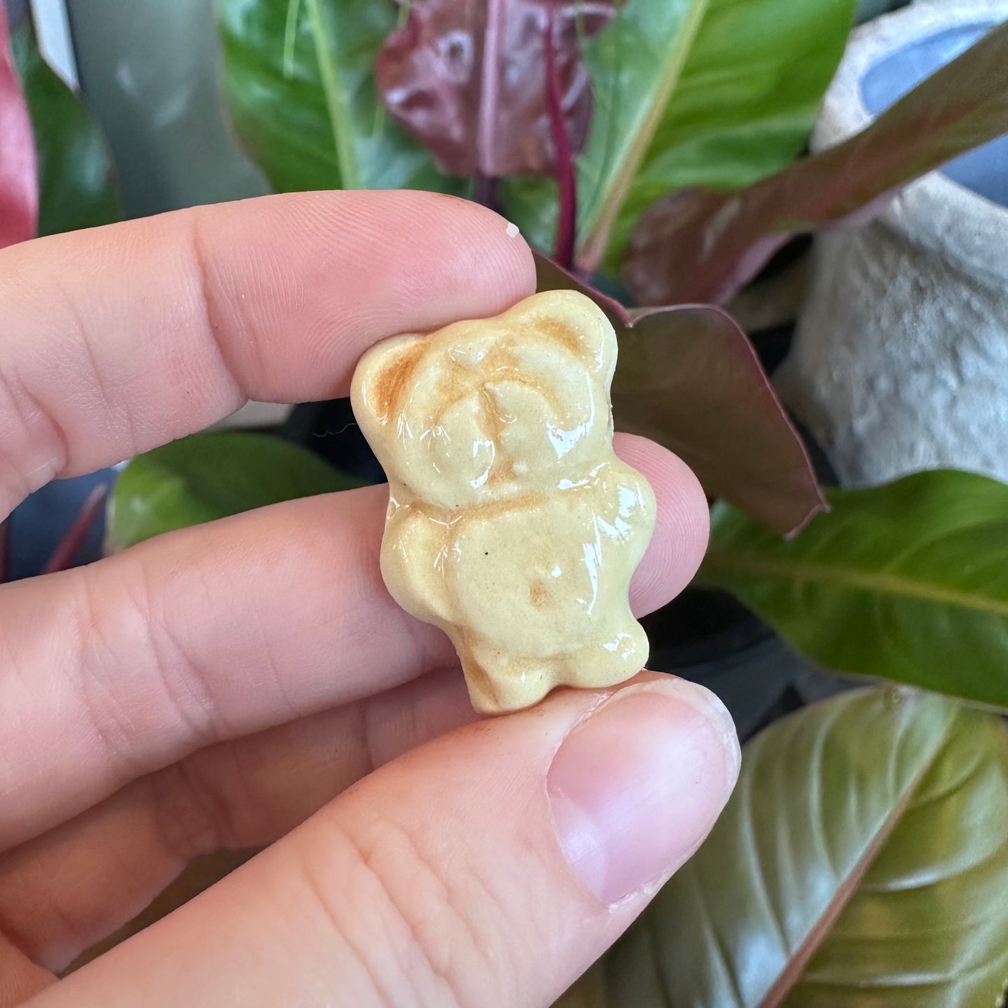 Tiny Teddy Magnets
