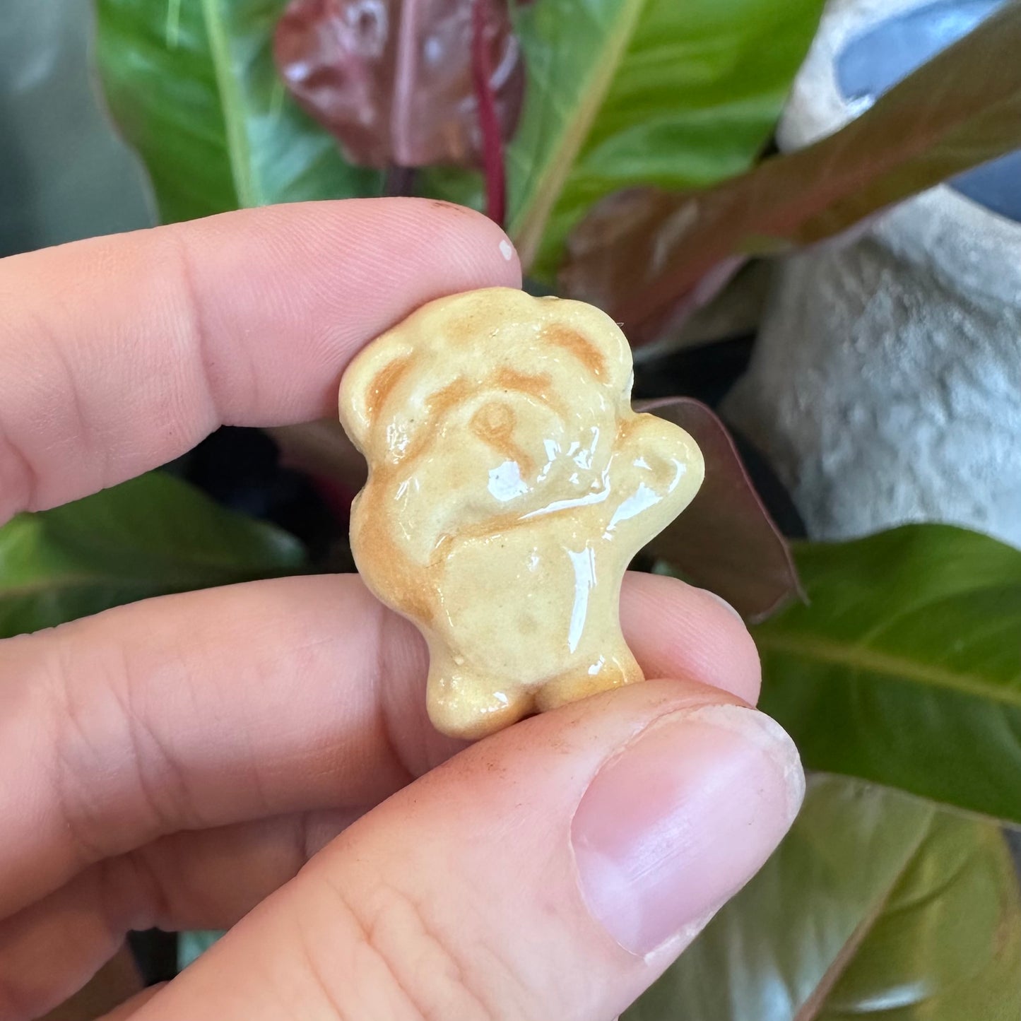 Tiny Teddy Magnets