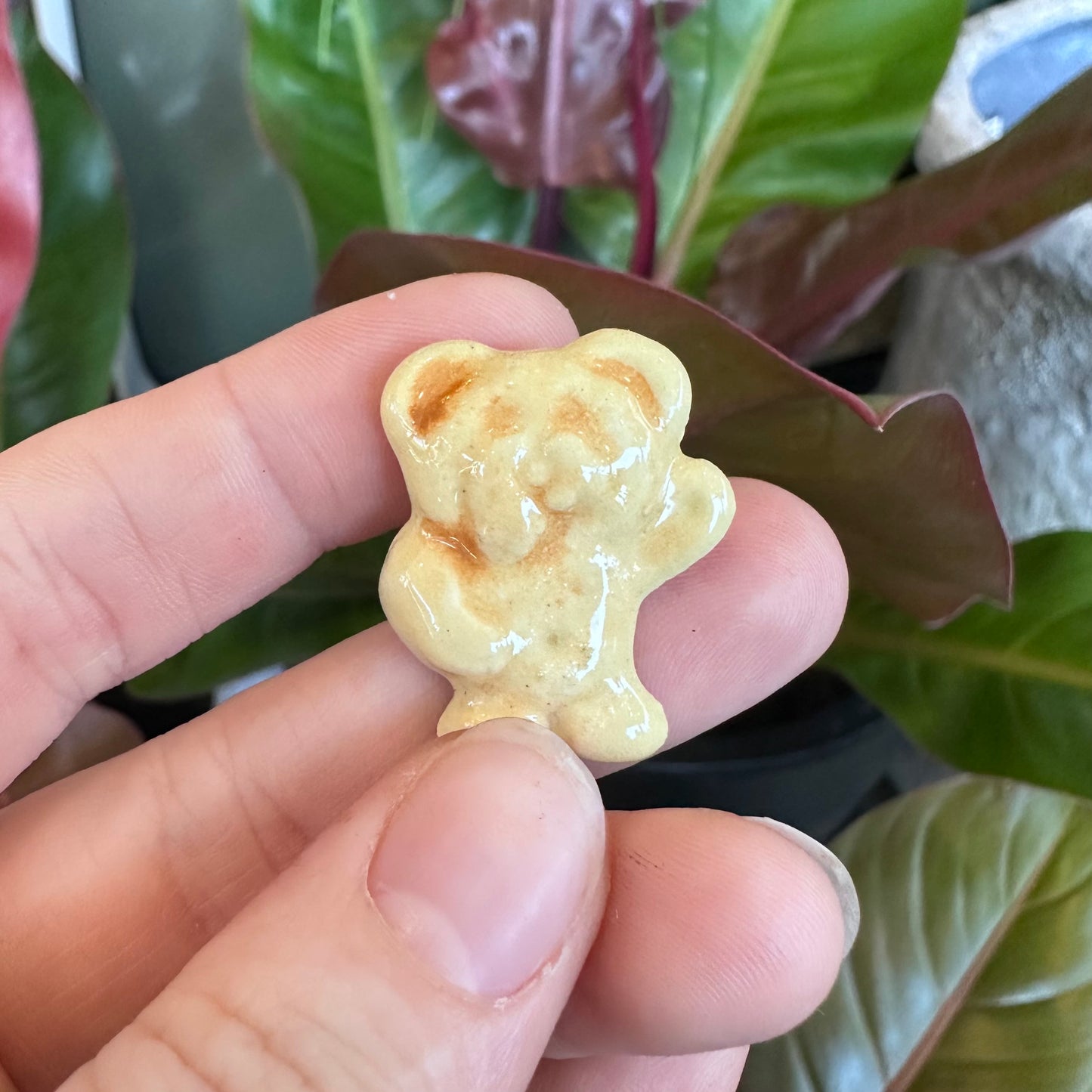 Tiny Teddy Magnets
