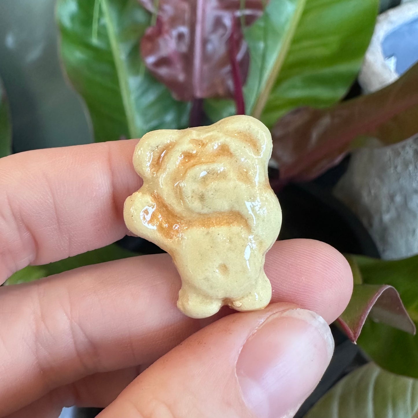 Tiny Teddy Magnets