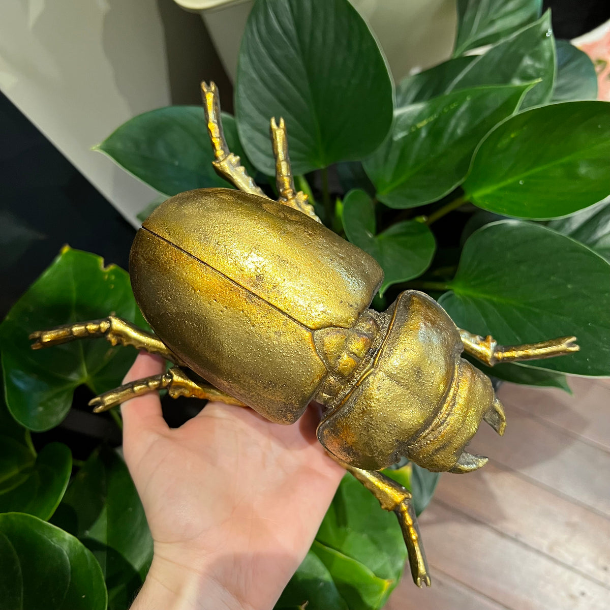 Gold Beetle Wall Art