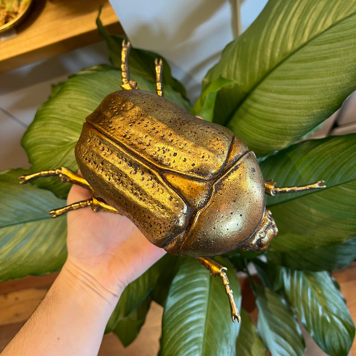 Gold Beetle Wall Art