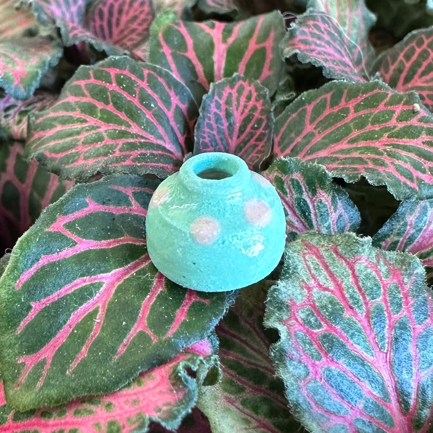 Ruth Elliot Super Mini Vases