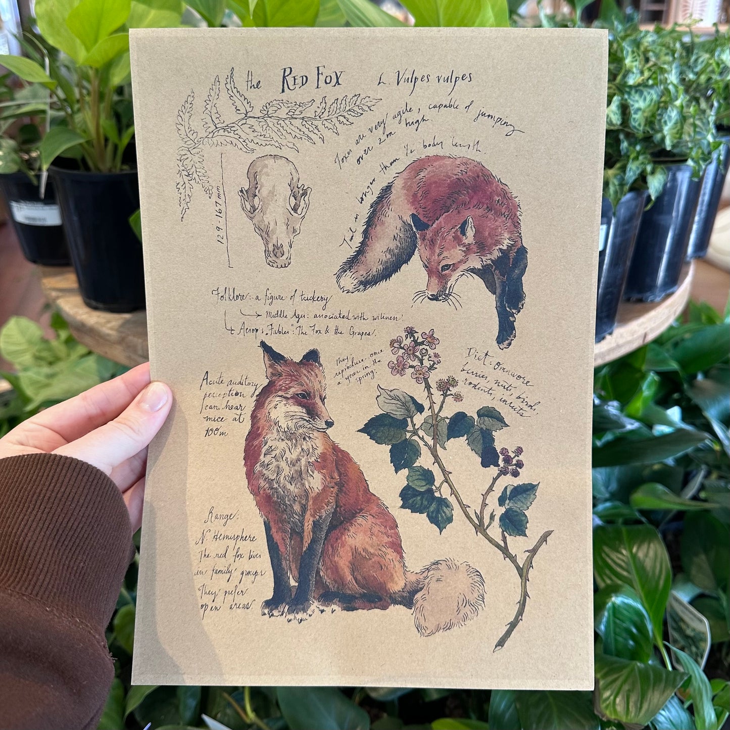 A4 Prints
