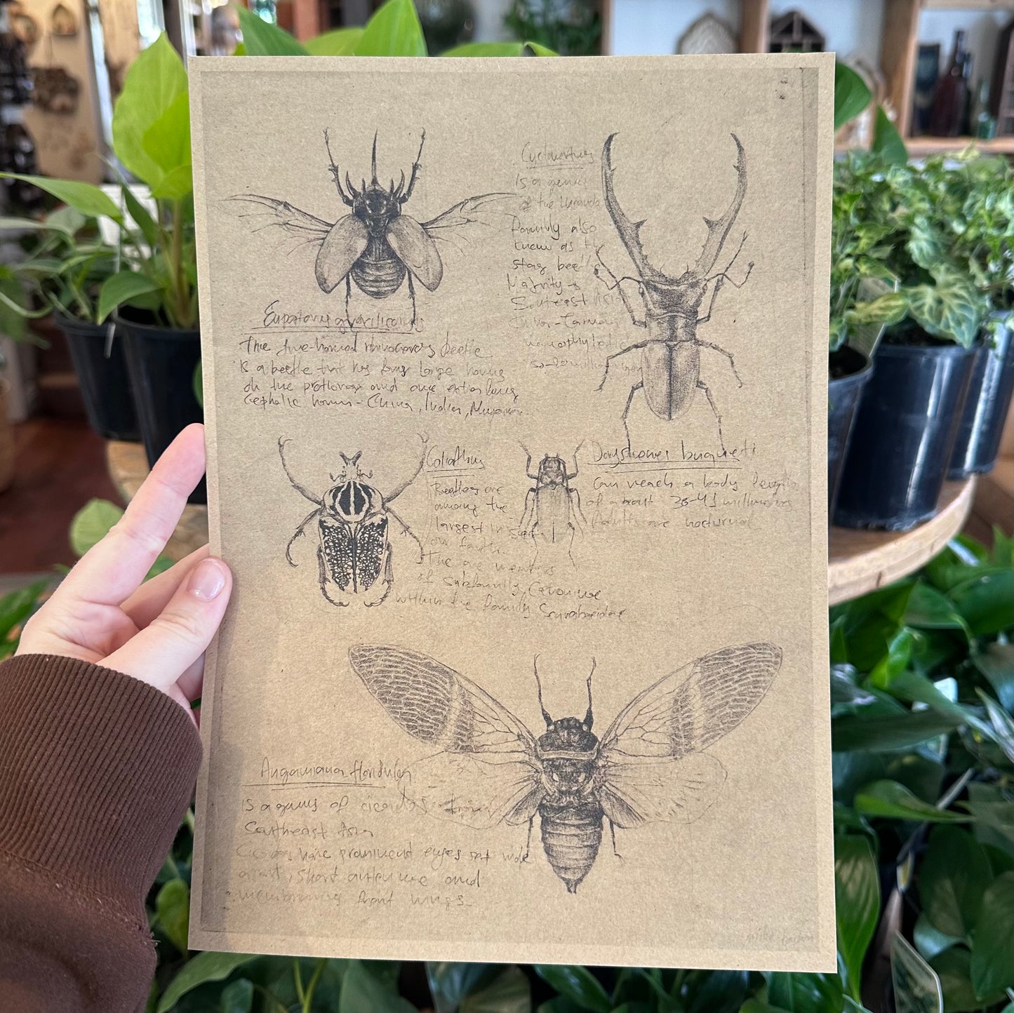 A4 Prints