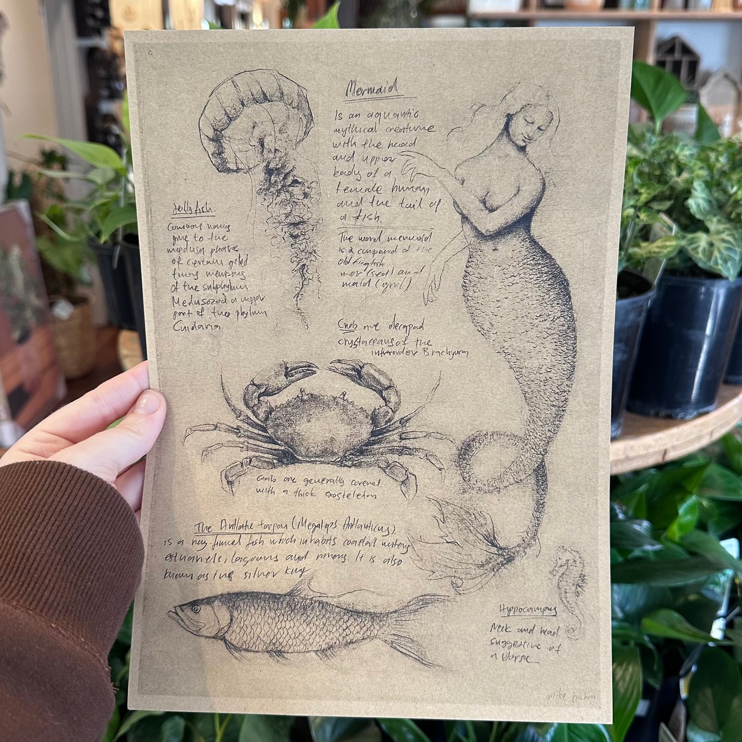 A4 Prints