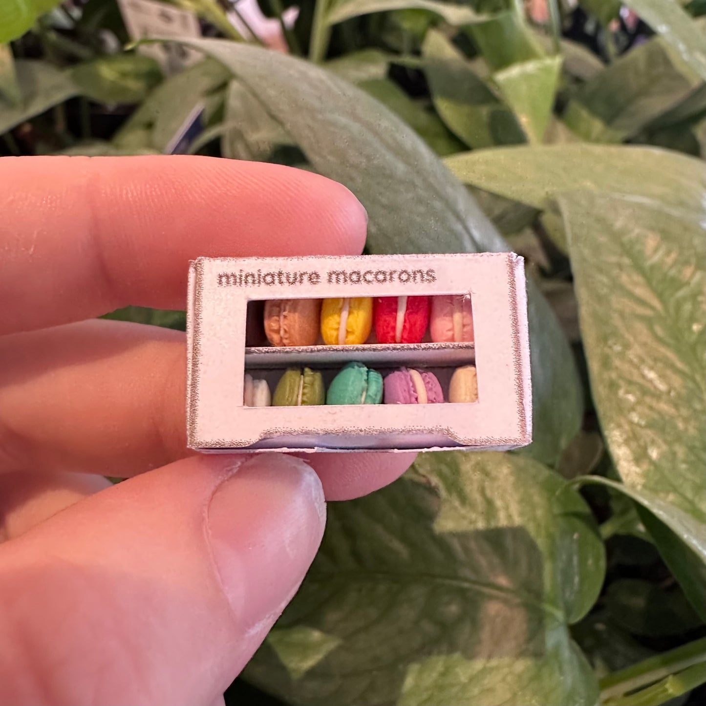 Miniature Macaron Set
