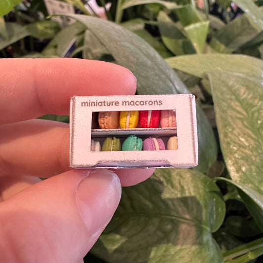 Miniature Macaron Set