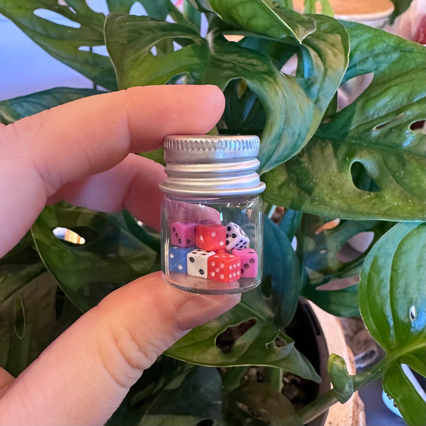 Mini Dice in Jar