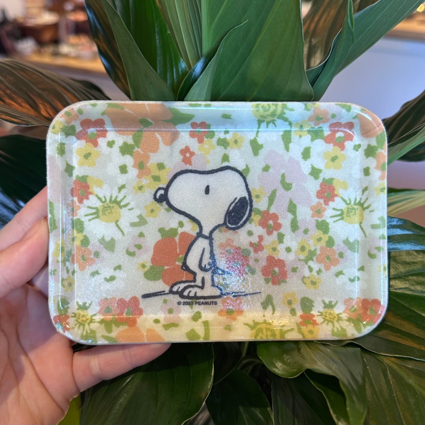 Retro Snoopy & Richard Scary Trays