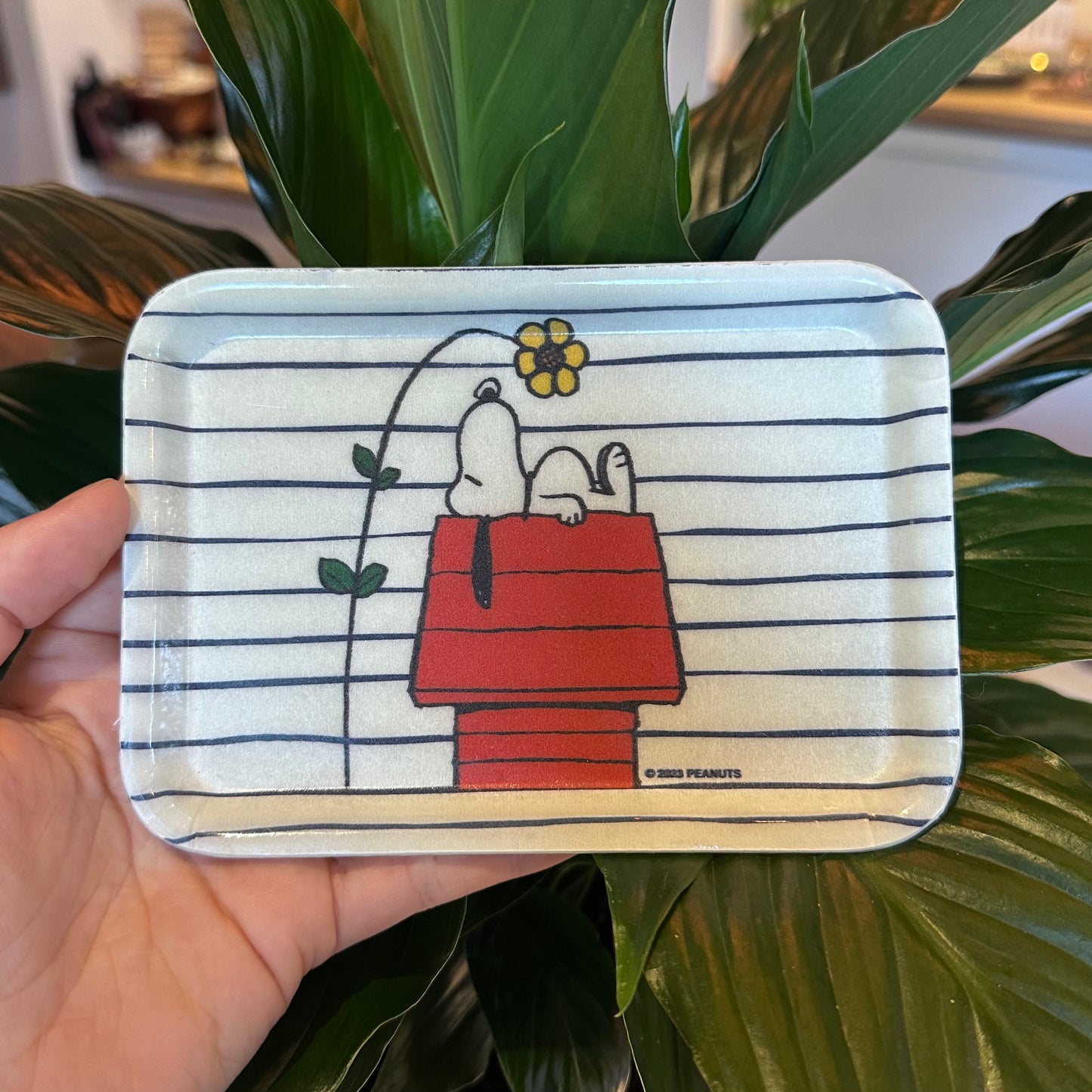 Retro Snoopy & Richard Scary Trays