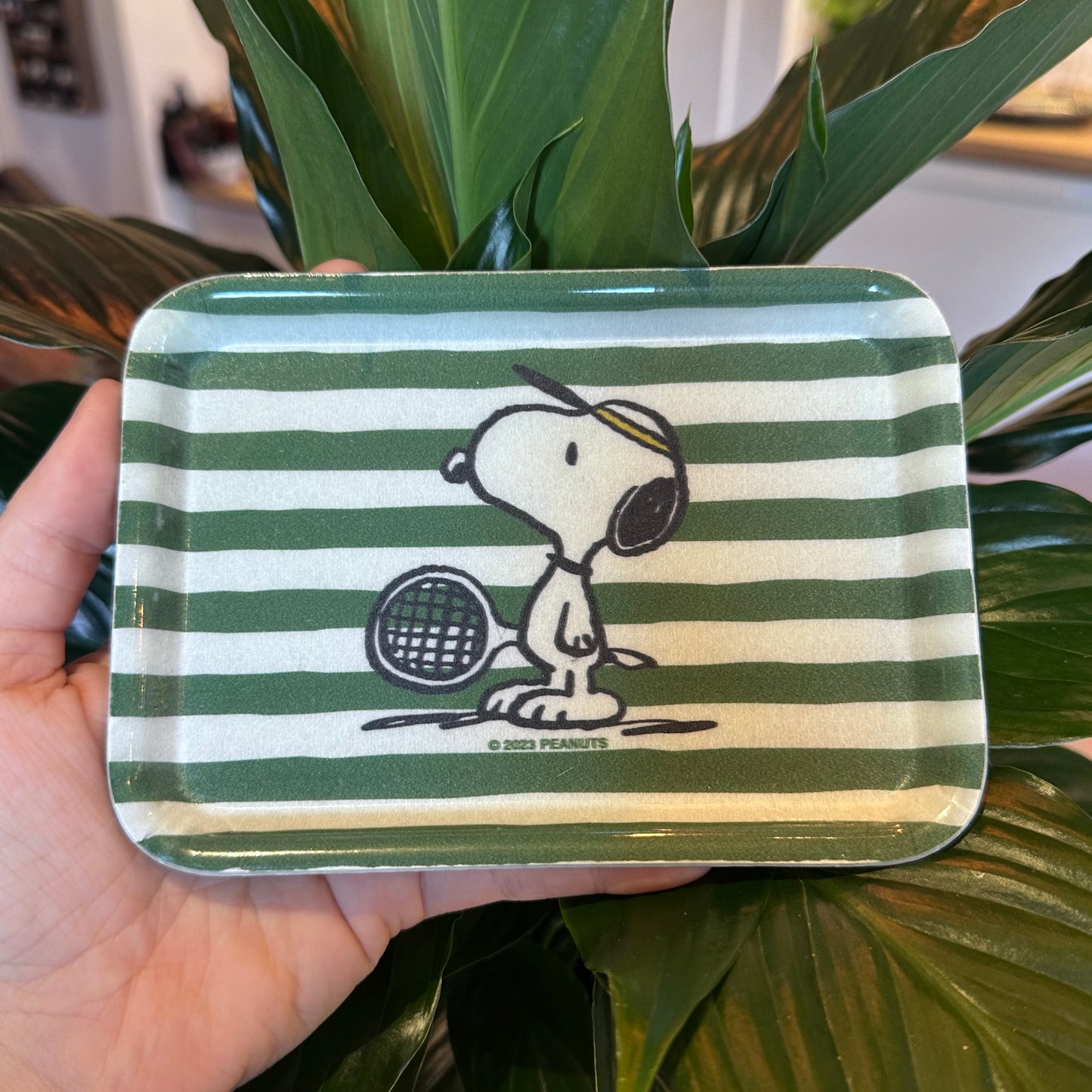 Retro Snoopy & Richard Scary Trays