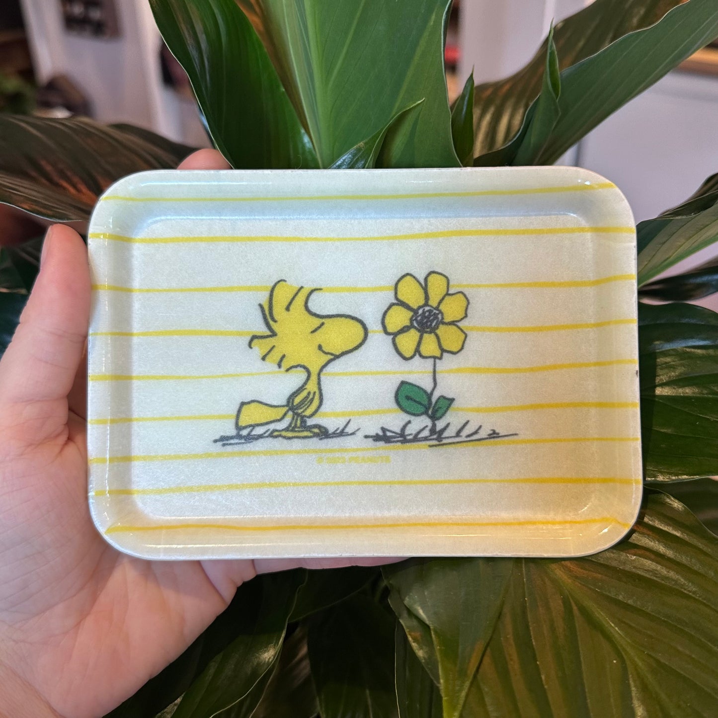 Retro Snoopy & Richard Scary Trays