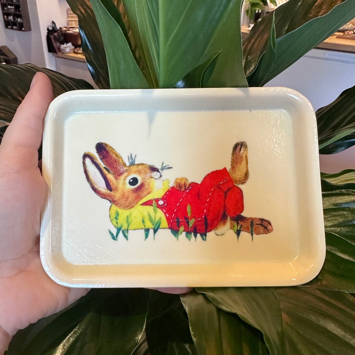 Retro Snoopy & Richard Scary Trays